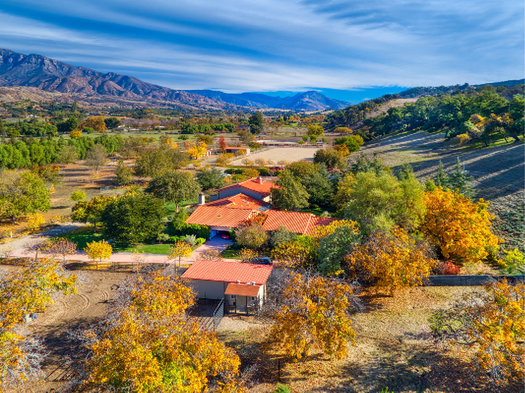 Buying and Selling in Autumn