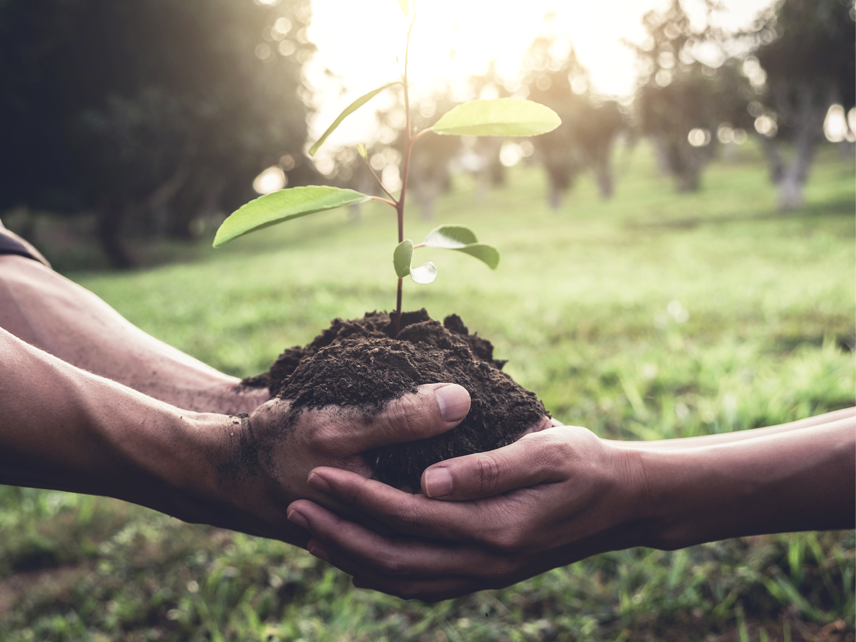 The Season of Giving